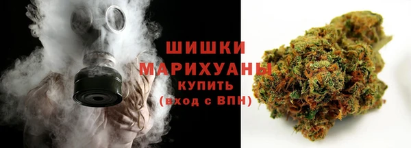 стаф Бородино