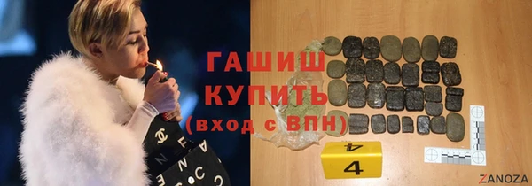 стаф Бородино