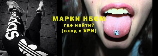 стаф Бородино