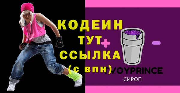 стаф Бородино
