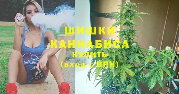 мескалин Богданович
