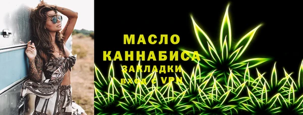 стаф Бородино