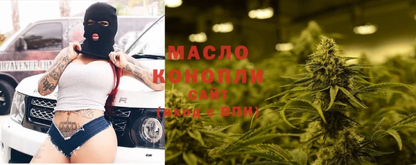 стаф Бородино
