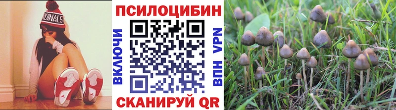 Псилоцибиновые грибы GOLDEN TEACHER blacksprut зеркало Углич